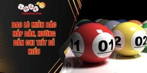 Bao Lô Miền Bắc Hấp Dẫn, Hướng Dẫn Chi Tiết Dễ Hiểu