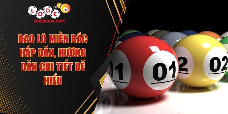 Bao Lô Miền Bắc Hấp Dẫn, Hướng Dẫn Chi Tiết Dễ Hiểu