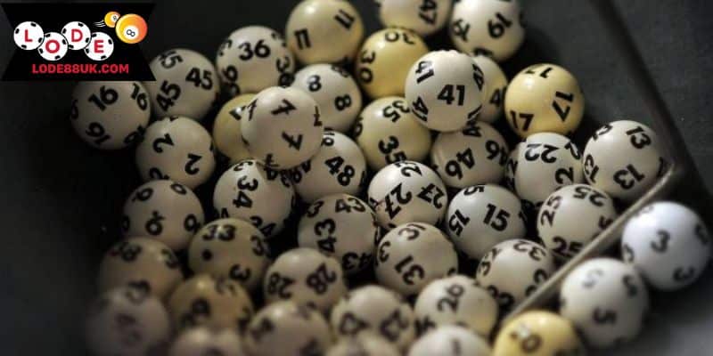 Chiến lược nuôi lô khung hiệu quả