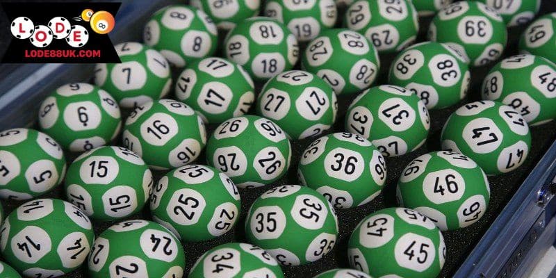 Chọn con số yêu thích để đặt cược