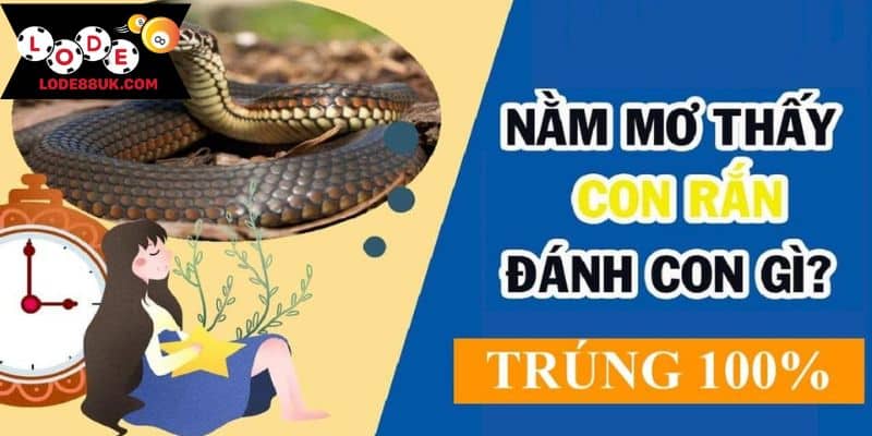 Mộng thấy rắn đánh con gì?