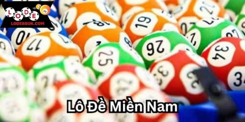 Tìm hiểu về đề miền Nam cho tân thủ 