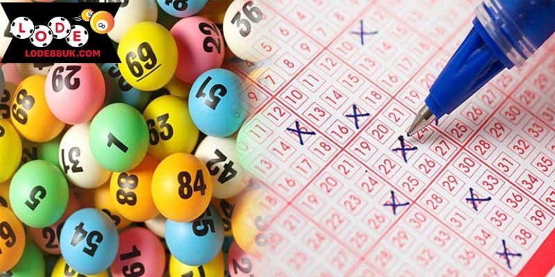 Xác nhận cá cược khi chọn số thích hợp